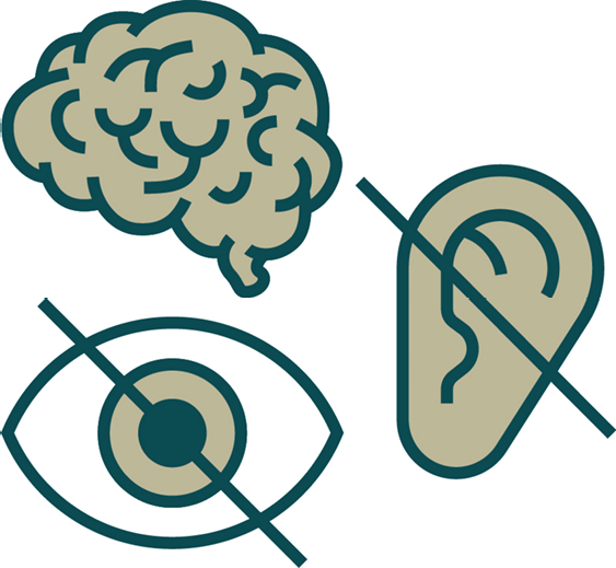 A brain icon, a vision impairment icon, and a hearing impairment icon.